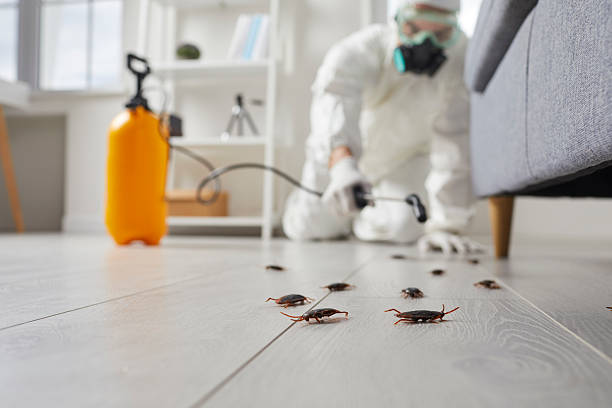 Commercial Kitchen Cockroach Control in Poughkeepsie